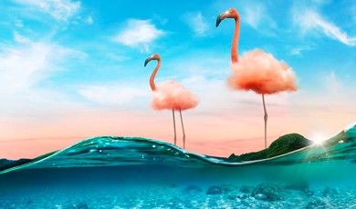 Leer alles over fotobewerking met Adobe Photoshop